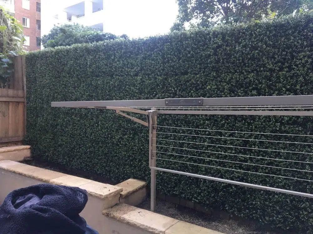 Premium Natural Buxus Hedge Panels UV Resistant 1m x 1m