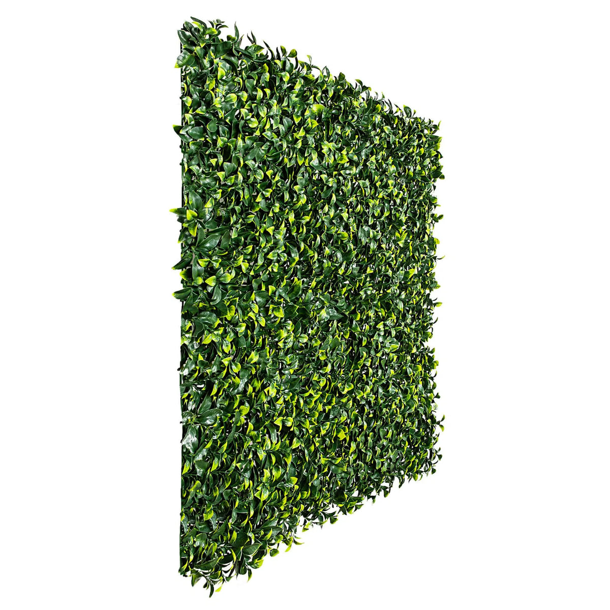 Jasmine Hedge Screen Green Wall Panel UV Resistant 100cm x 100cm