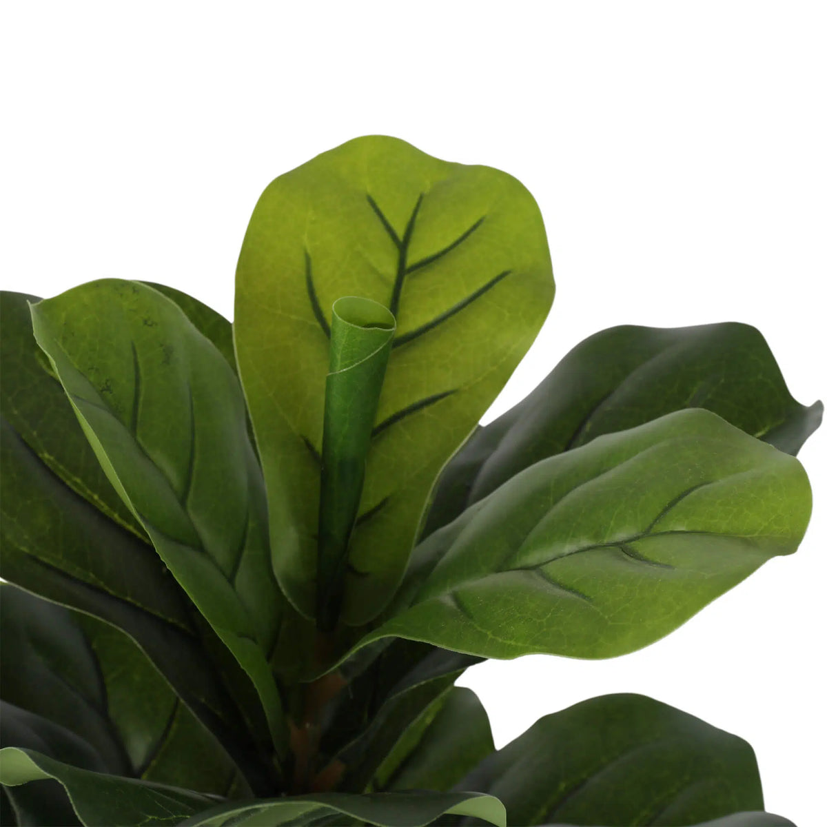 Modern Artificial Fiddle Fig 130cm