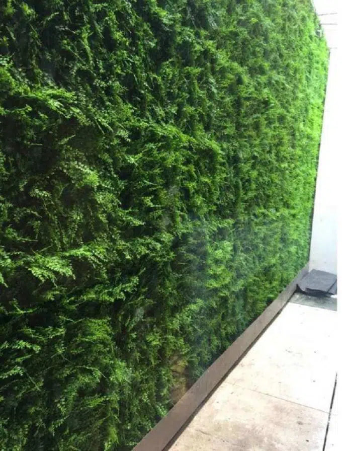 Mediterranean Fern Vertical Garden / Green Wall UV Resistant 1m x 1m