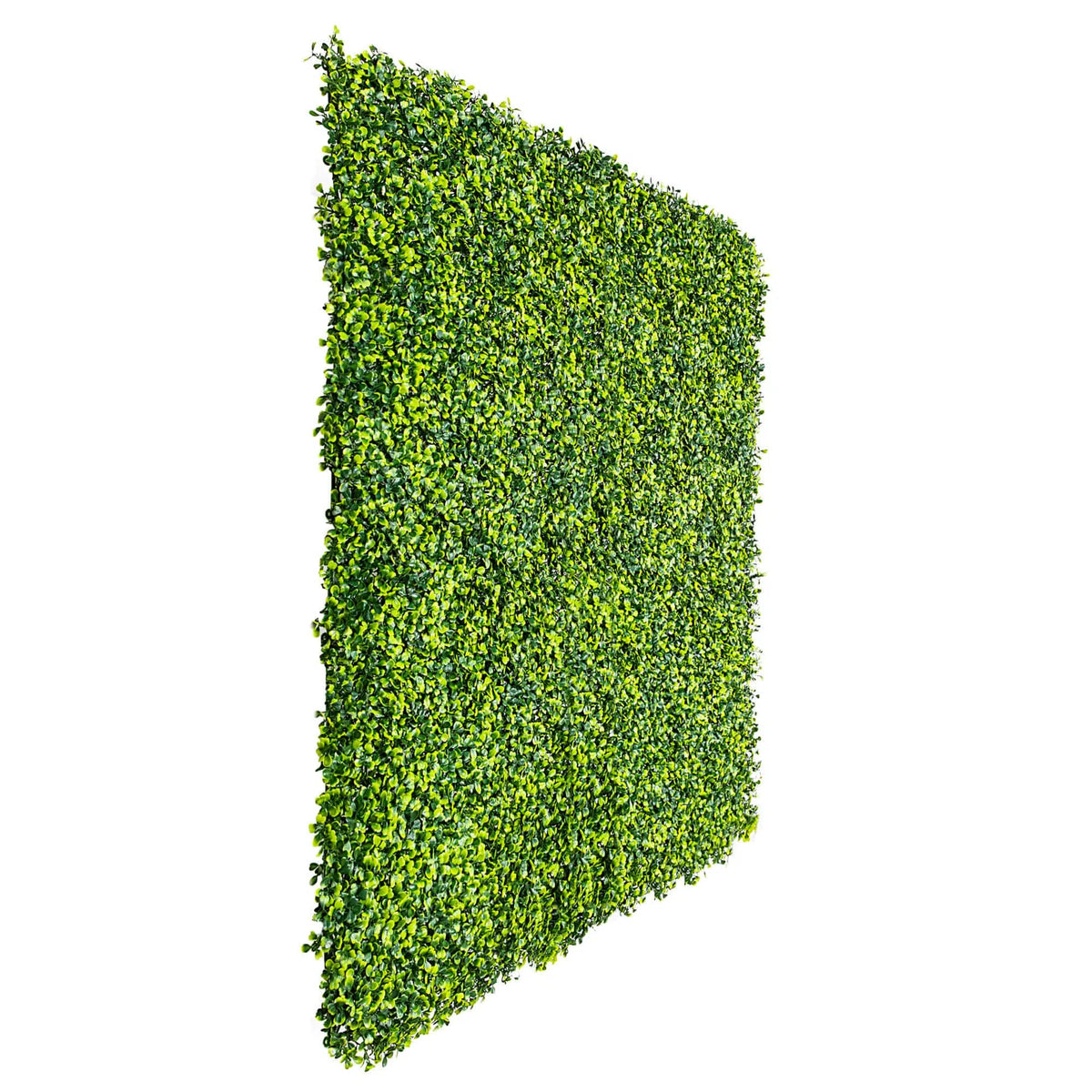 Mixed Boxwood Hedge Panels / Screens UV Resistant 1m x 1m