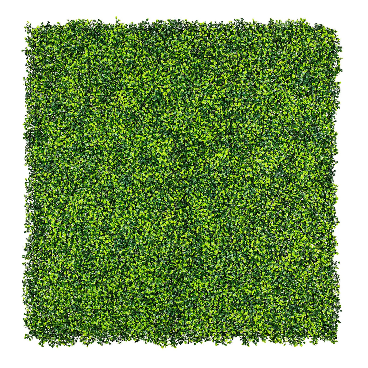 Mixed Boxwood Hedge Panels / Screens UV Resistant 1m x 1m