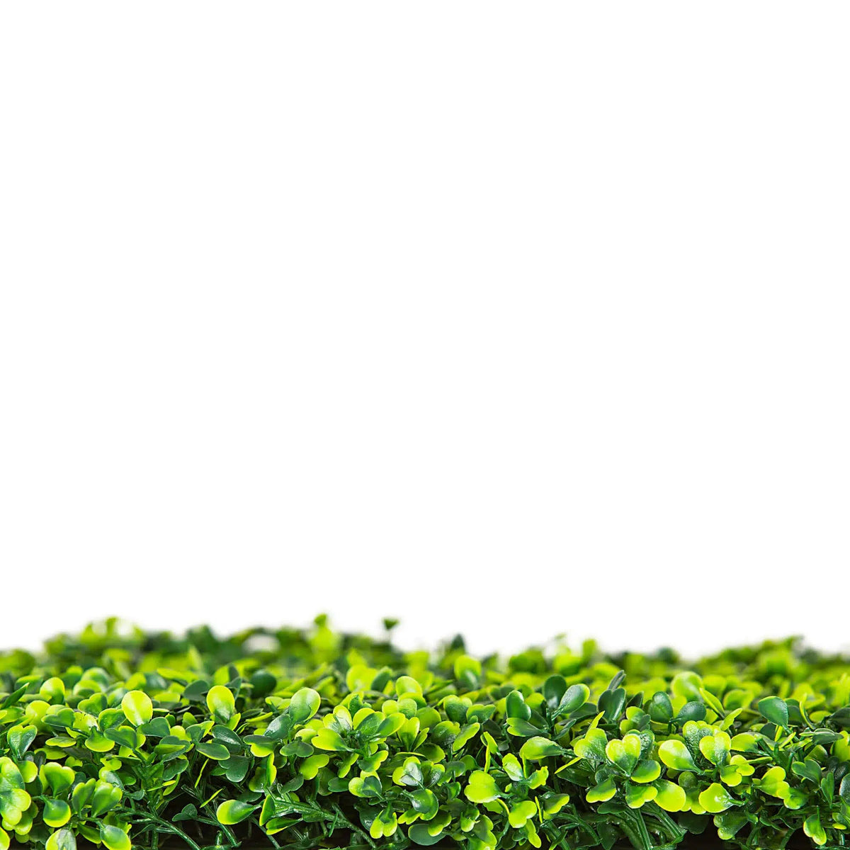 Mixed Boxwood Hedge Panels / Screens UV Resistant 1m x 1m