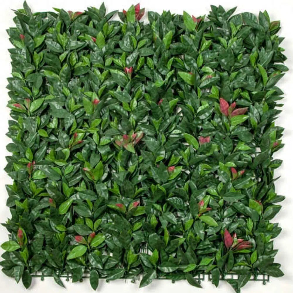 Photinia (Red Robin) Hedge Leaf Screens / Panels UV Resistant 1m x 1m