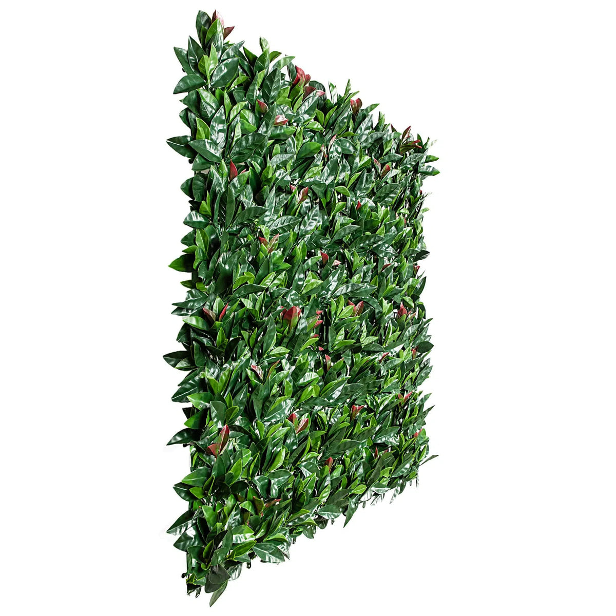 Photinia (Red Robin) Hedge Leaf Screens / Panels UV Resistant 1m x 1m