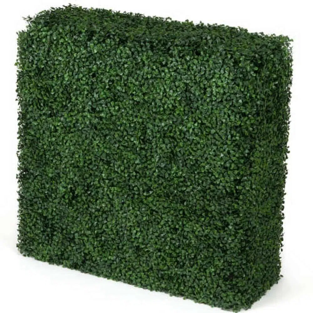 Portable Boxwood Hedge UV Resistant 75CM x 75cm