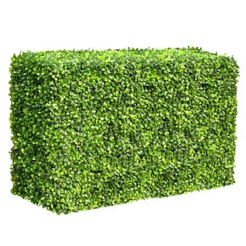 Mixed Boxwood Hedge UV Resistant 100cm Long x 50cm High