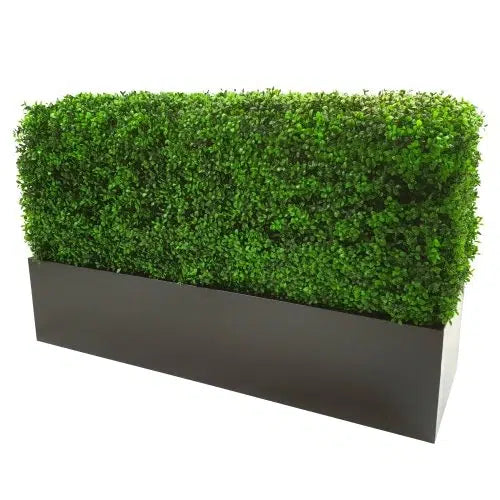 Deluxe Portable Buxus (Bright) UV Resistant 100cm Long x 50cm High x 25cm Wide