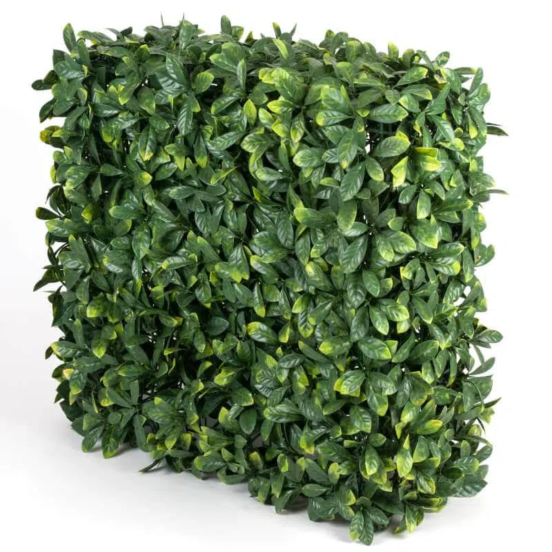 Portable Laurel Hedge UV Resistant 75cm x 75cm