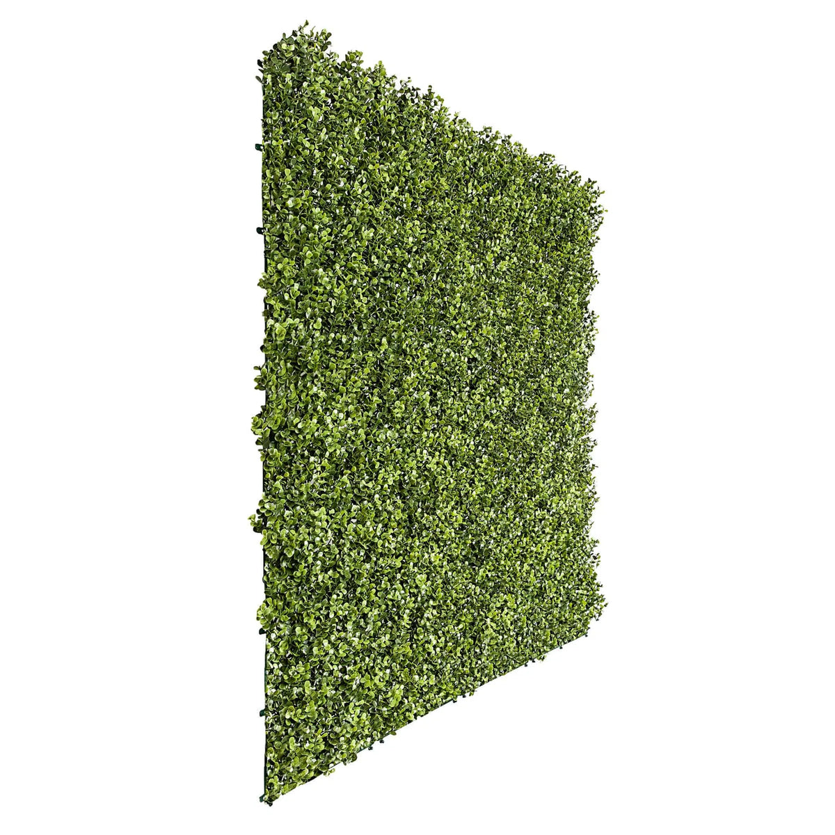 Premium Natural Buxus Hedge Panels UV Resistant 1m x 1m