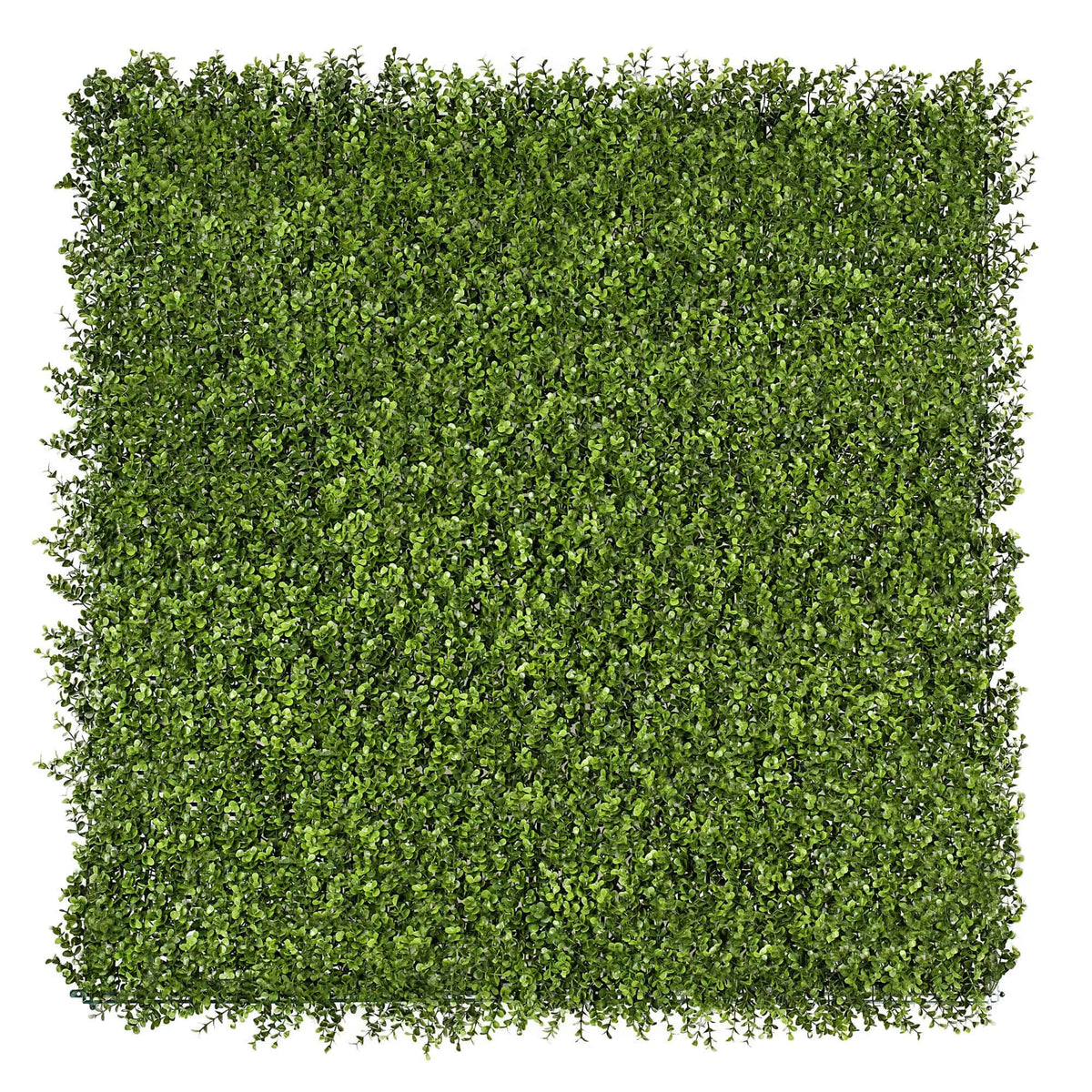 Premium Natural Buxus Hedge Panels UV Resistant 1m x 1m