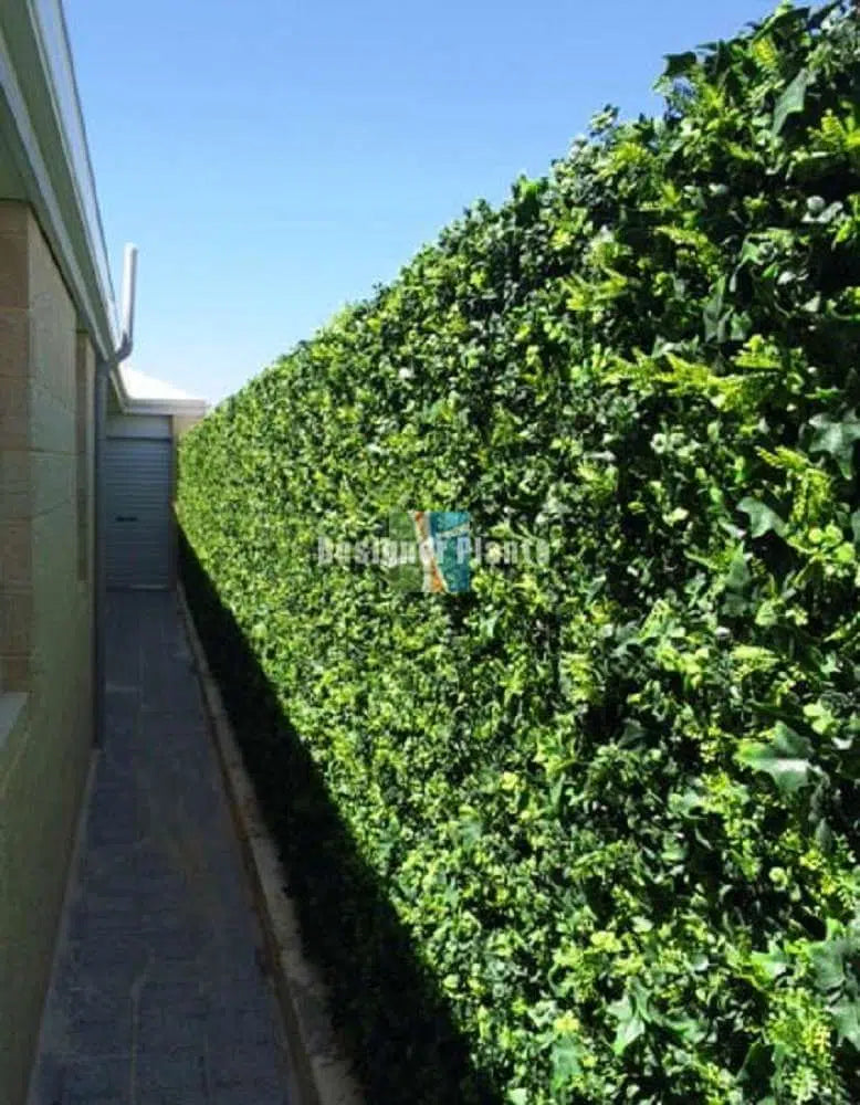 Luxury Spring Sensation Hedge Screen Green Wall Panel UV Resistant 100cm x 100cm