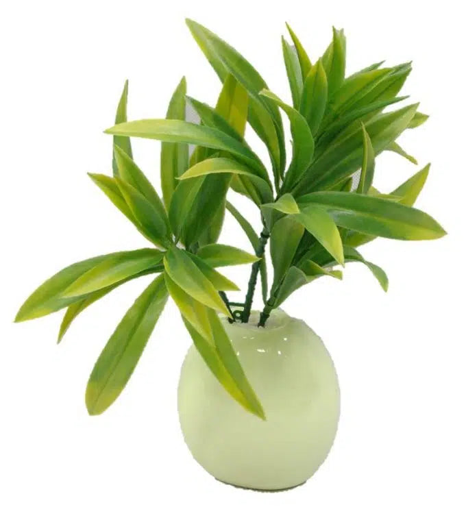 Dracaena (Yucca) Stem UV Resistant