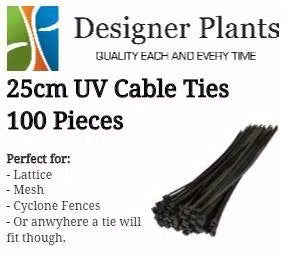 25cm UV Cable ties (wire, mesh or surfaces with holes) - 100 Pack