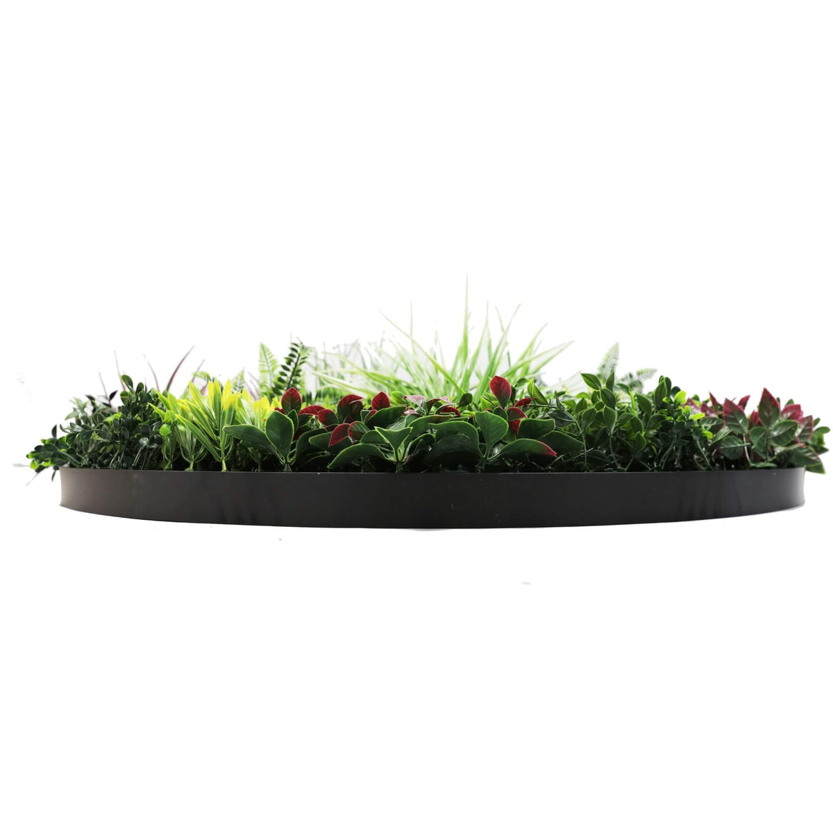 Slimline Artificial Green Wall Disc Art 100cm Colour Fresh UV Resistant