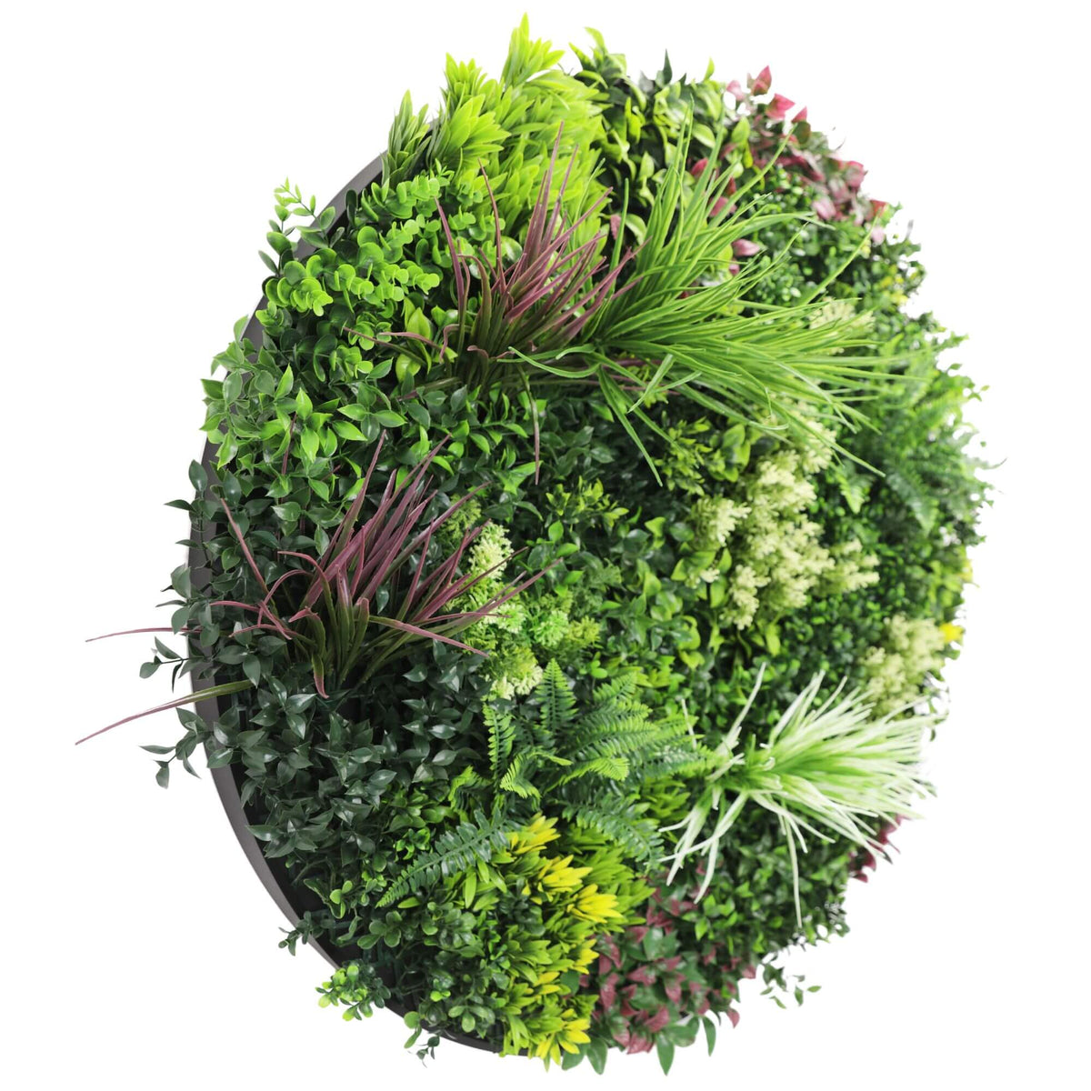 Slimline Artificial Green Wall Disc Art 100cm Colour Fresh UV Resistant