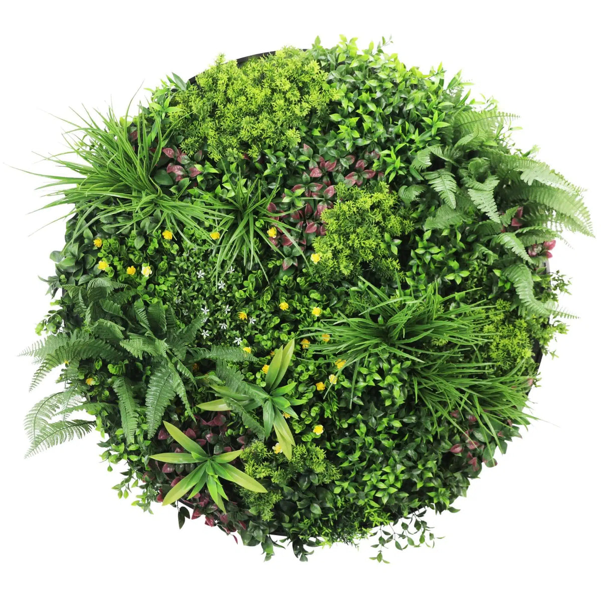 Slimline Artificial Green Wall Disc Art 100cm Country Fern UV Resistant