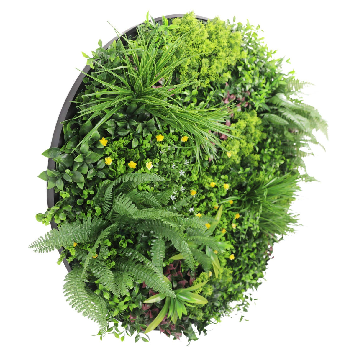 Slimline Artificial Green Wall Disc Art 100cm Country Fern UV Resistant