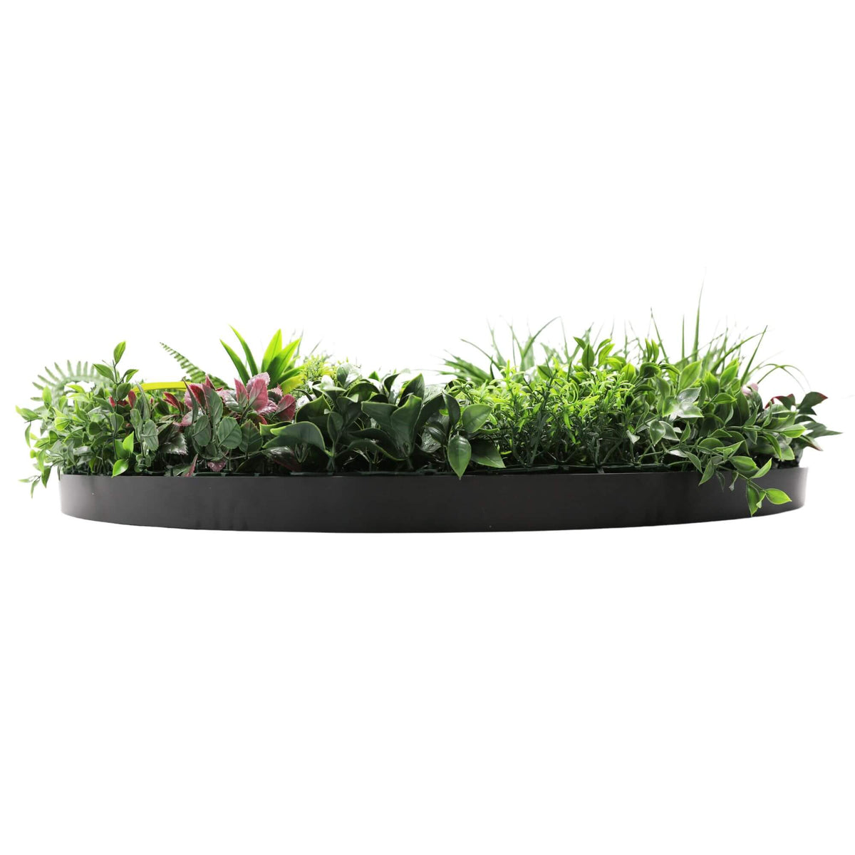 Slimline Artificial Green Wall Disc Art 100cm Country Fern UV Resistant