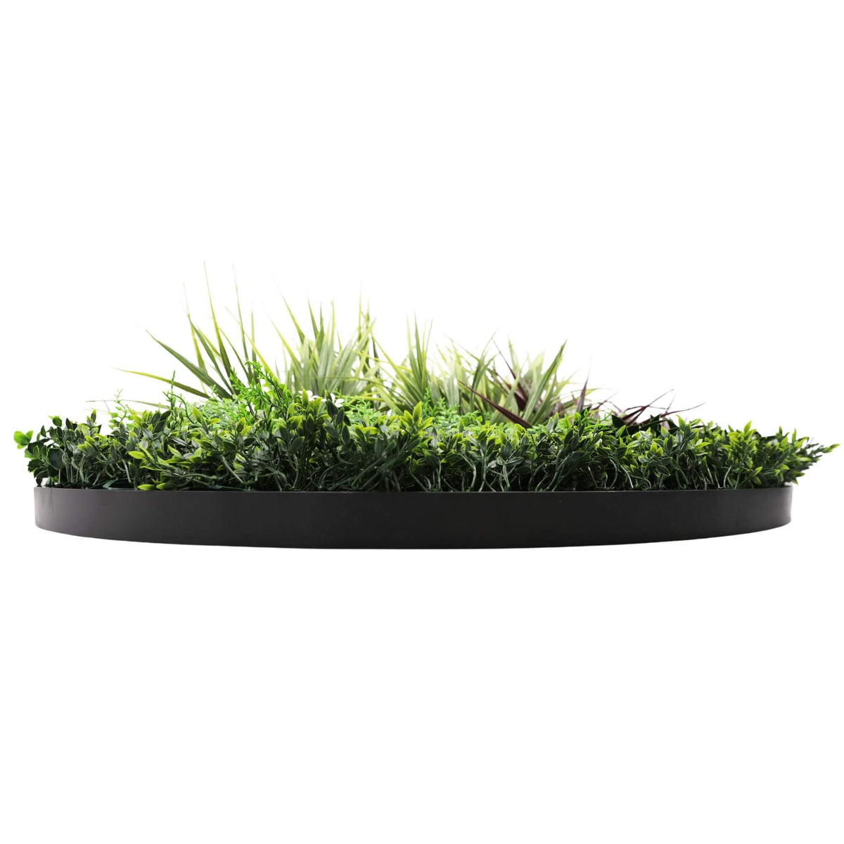 Slimline Artificial Green Wall Disc Art 100cm Grassy Fern UV Resistant