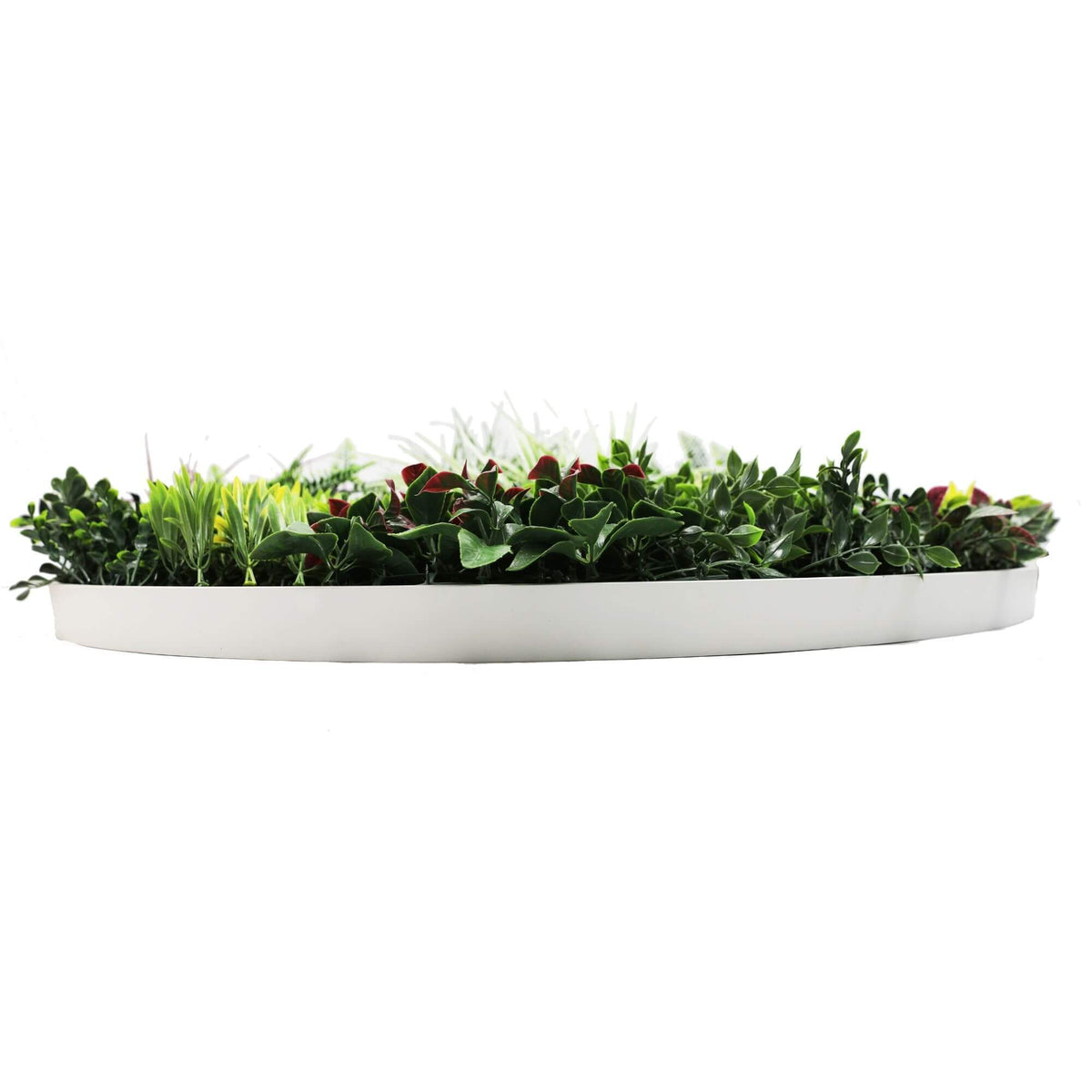 Slimline Artificial Green Wall Disc Art 100cm Colour Fresh UV Resistant