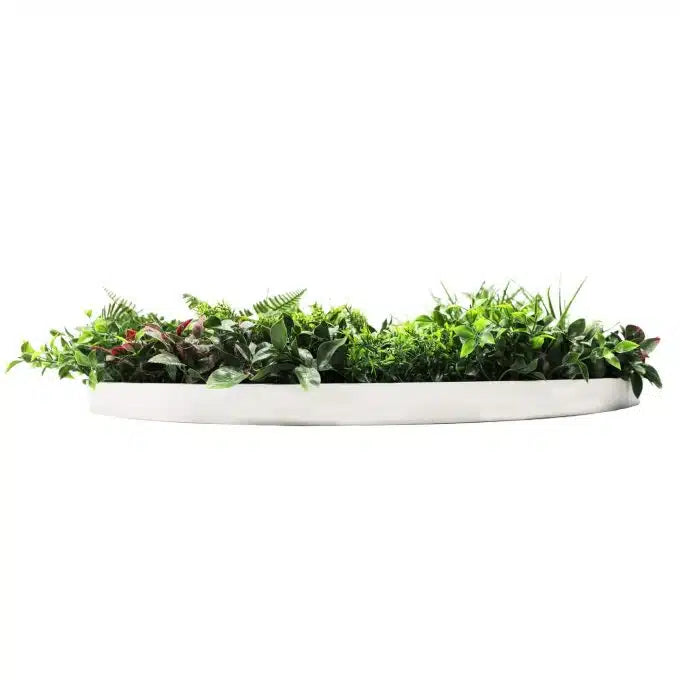 Slimline Artificial Green Wall Disc Art 100cm Country Fern UV Resistant