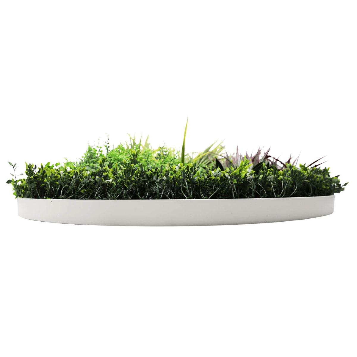 Slimline Artificial Green Wall Disc Art 100cm Grassy Fern UV Resistant