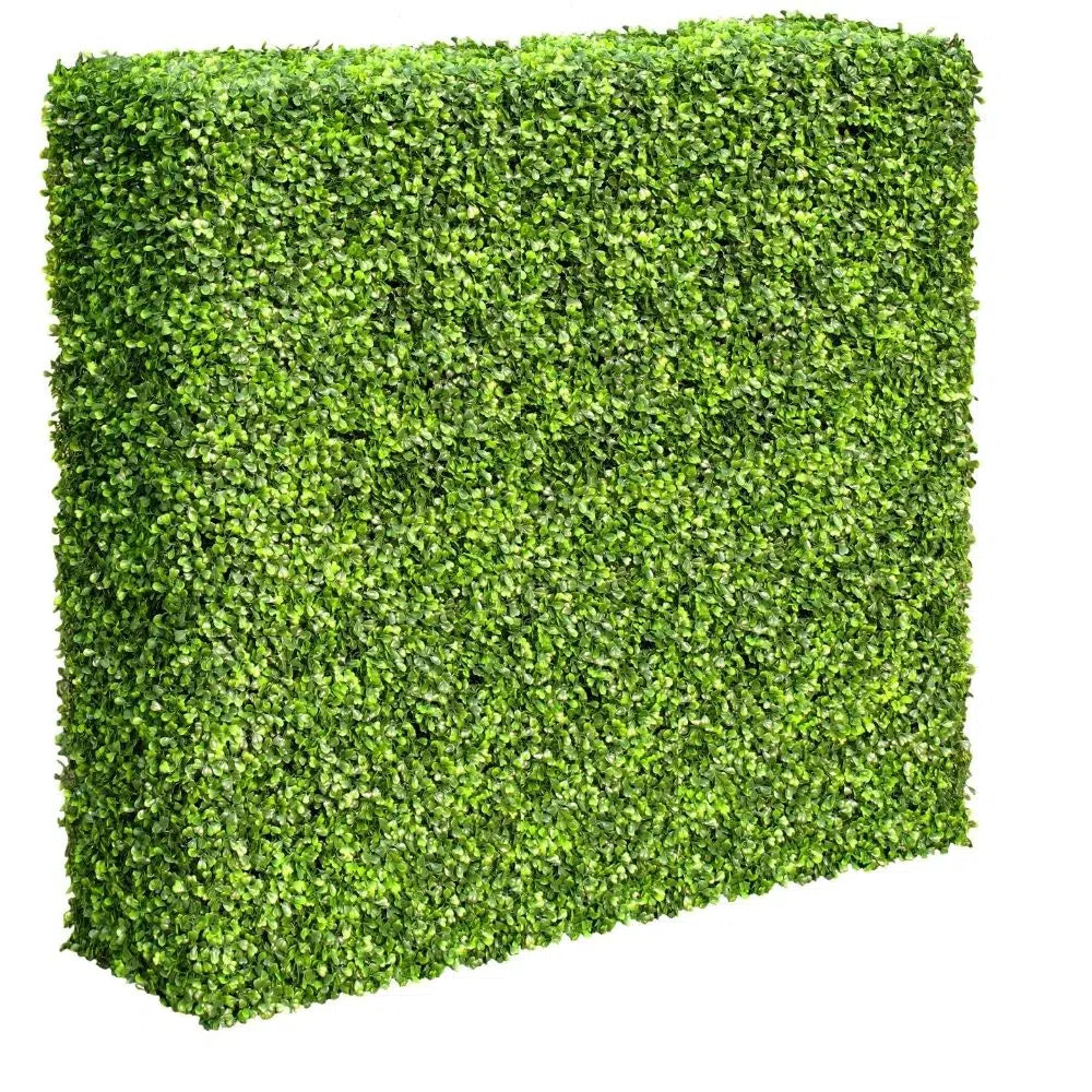 Large Portable Mixed Boxwood Hedge 1.5m by 1.5m UV Resistant