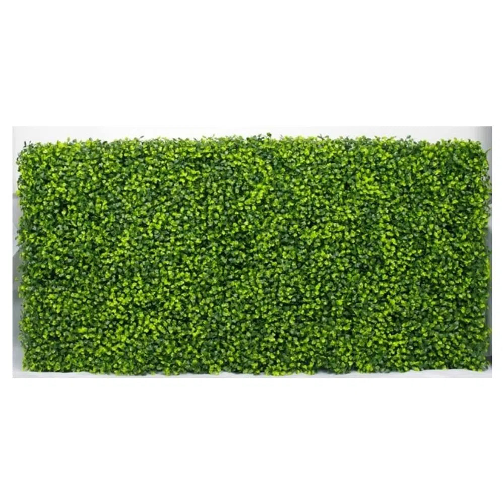 Mixed Boxwood Hedge UV Resistant 100cm Long x 50cm High