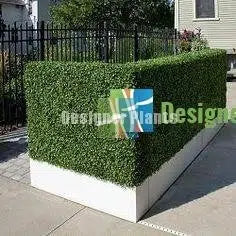 Boxwood Hedge Screen Green Wall Panel UV Resistant 100cm x 100cm