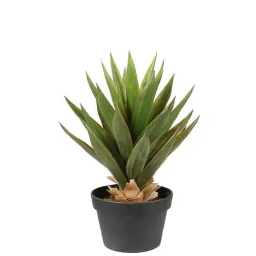 Artificial Dense Potted Aloe Vera Plant 50cm