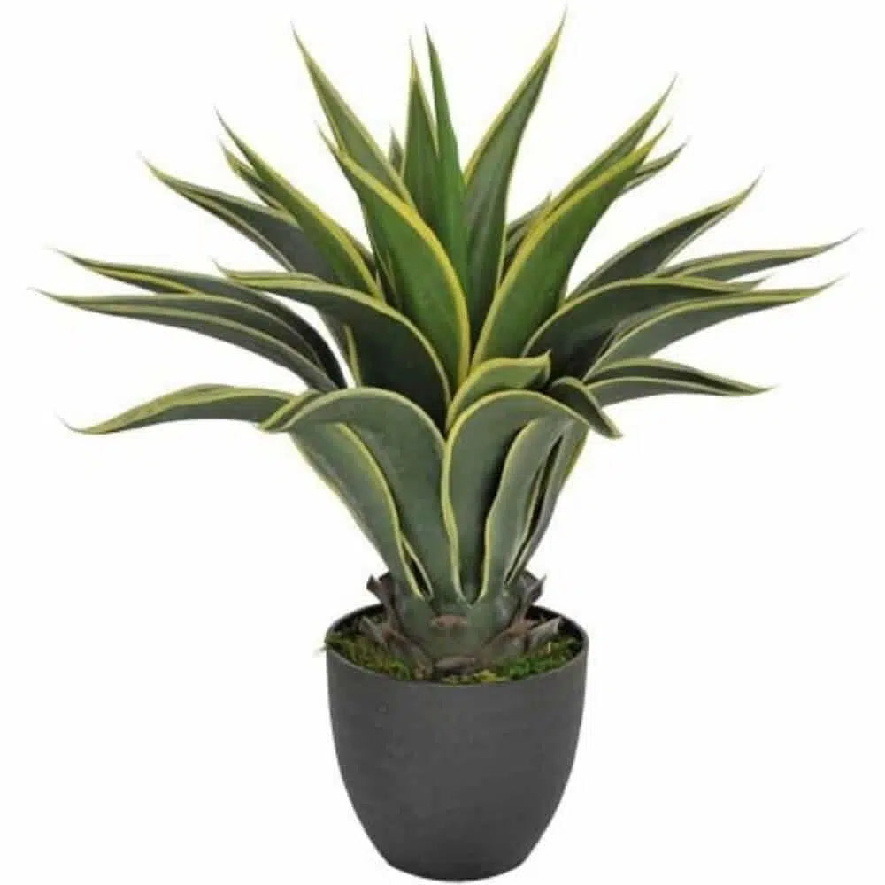 Artificial Yellow Tipped Agave 60cm