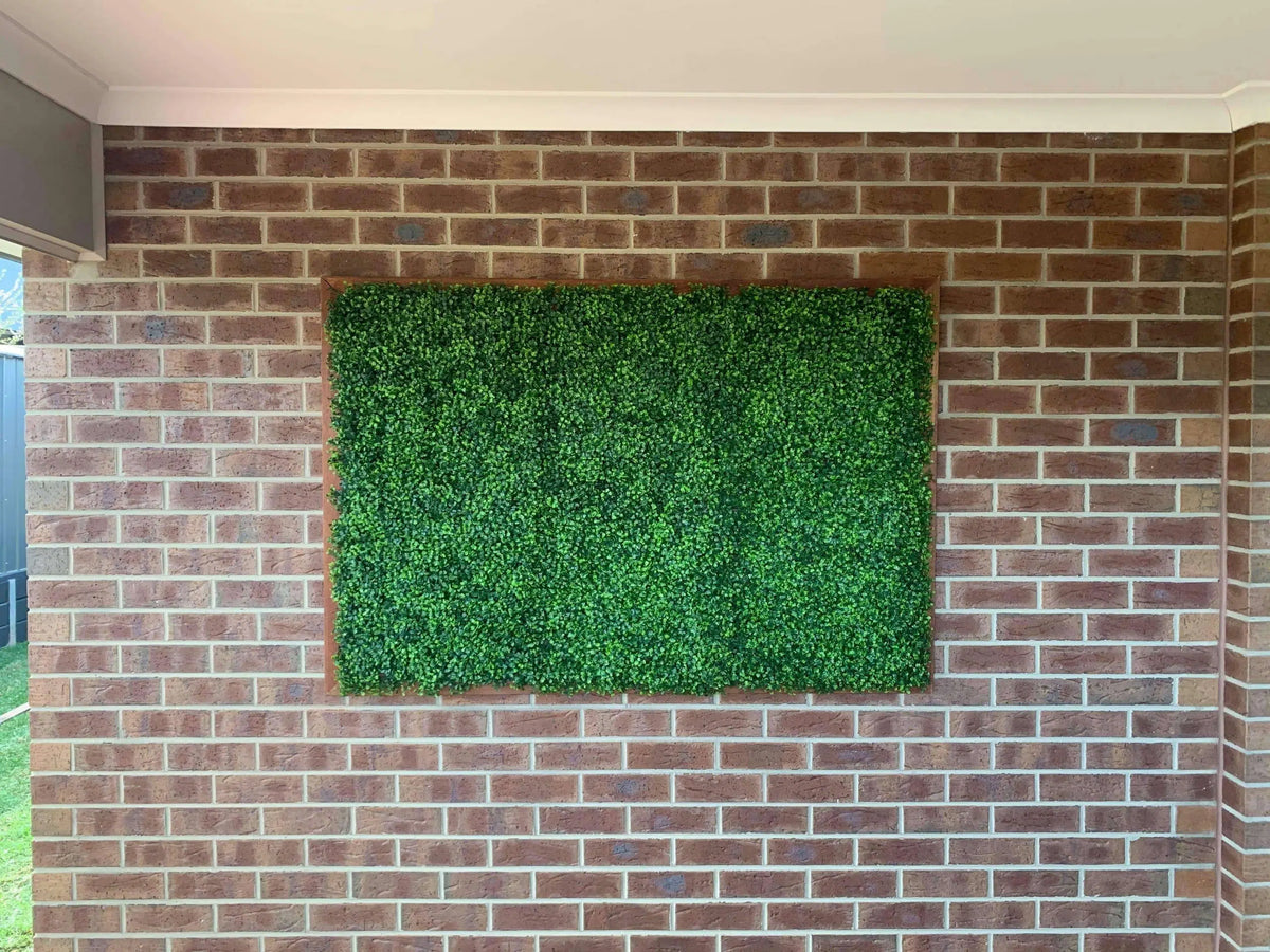 Mixed Boxwood Hedge Panels / Screens UV Resistant 1m x 1m