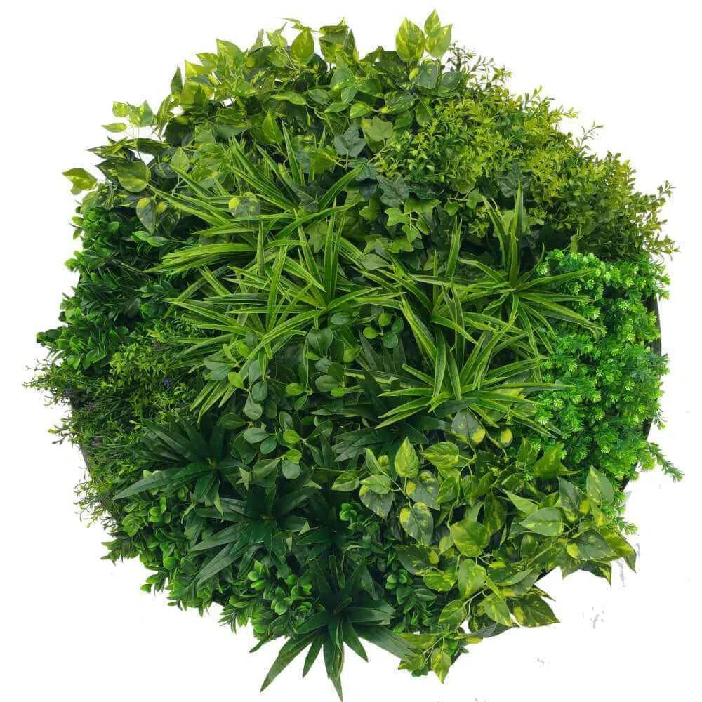 Artificial Green Wall Disc Art 80cm Mixed Aloe Vera (Onyx Black)