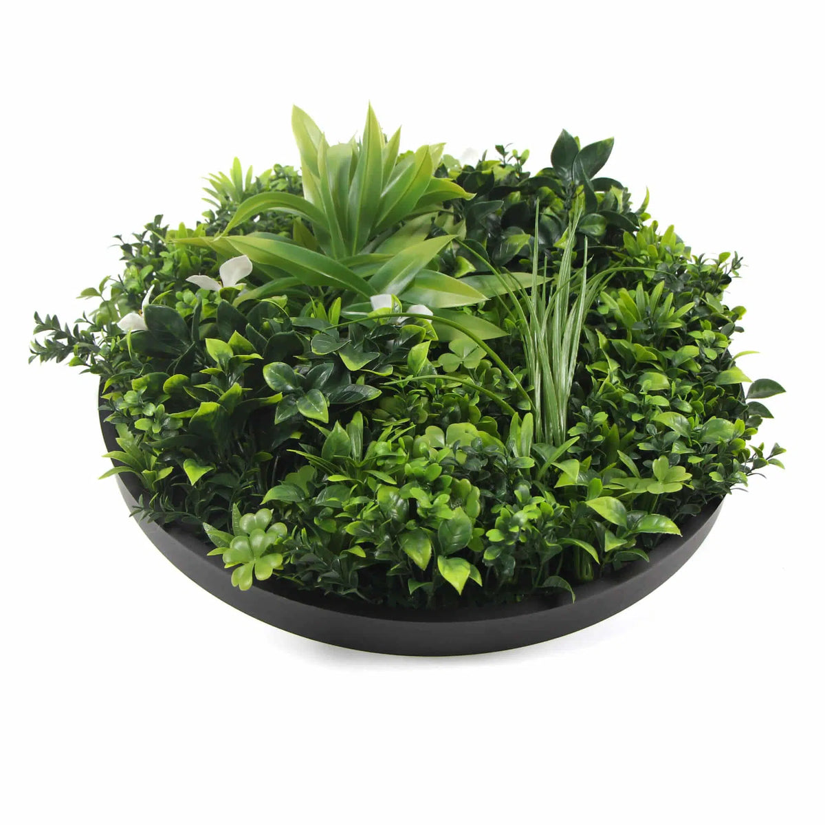 Flowering White Artificial Green Wall Disc UV Resistant 50cm Frame