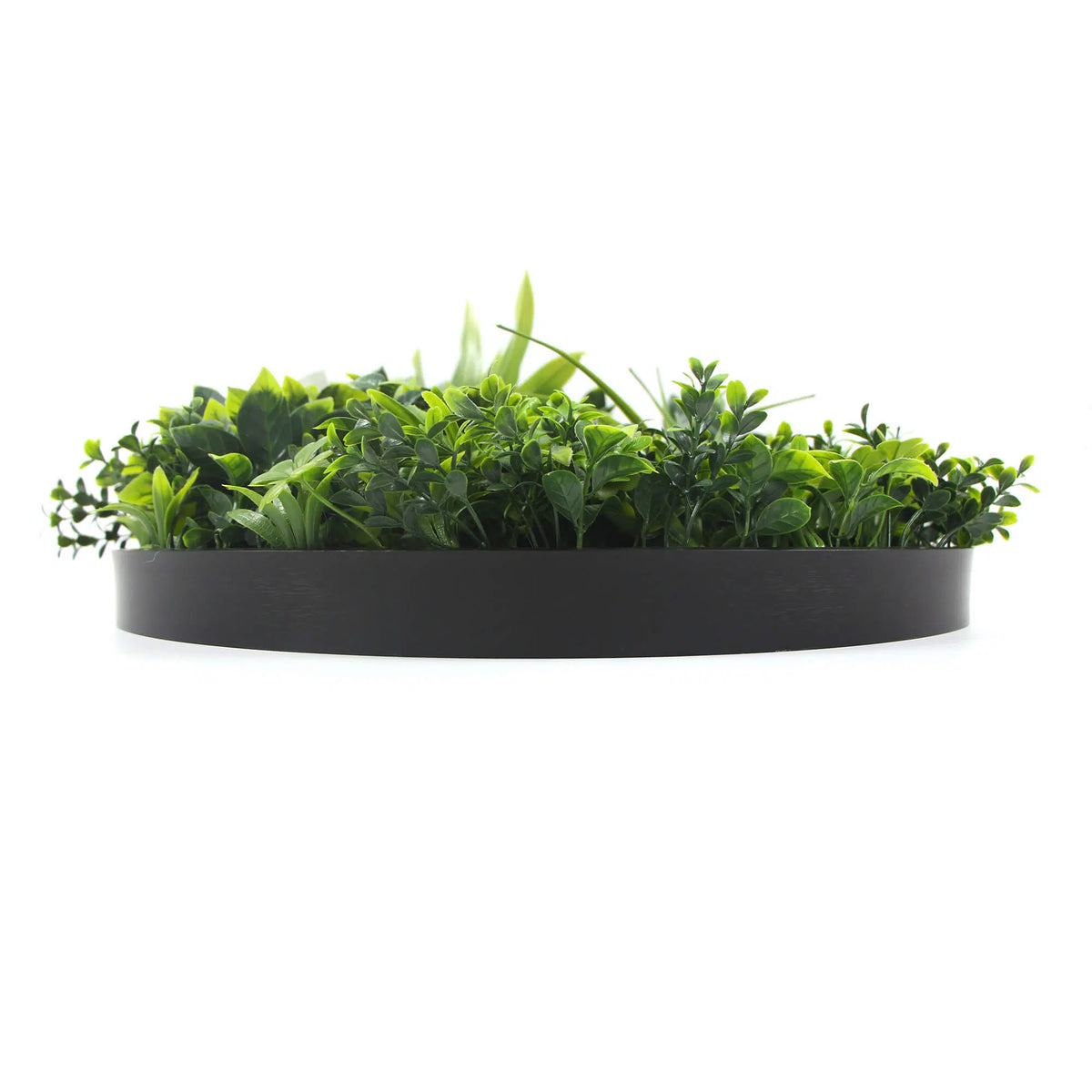 Flowering White Artificial Green Wall Disc UV Resistant 50cm Frame