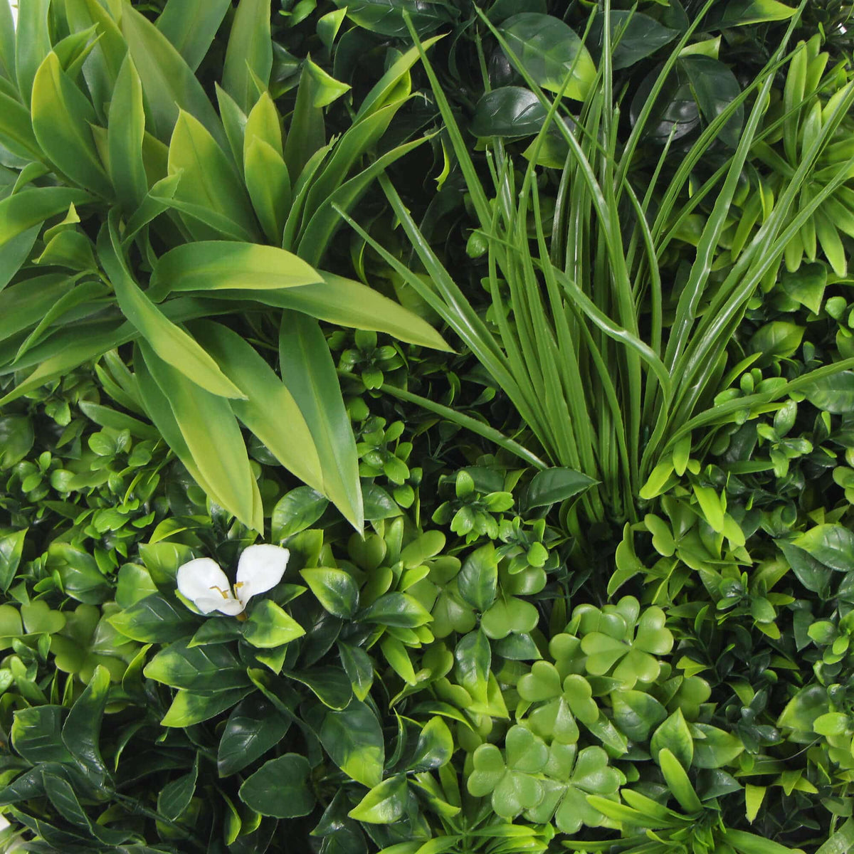 Flowering White Artificial Green Wall Disc UV Resistant 50cm Frame