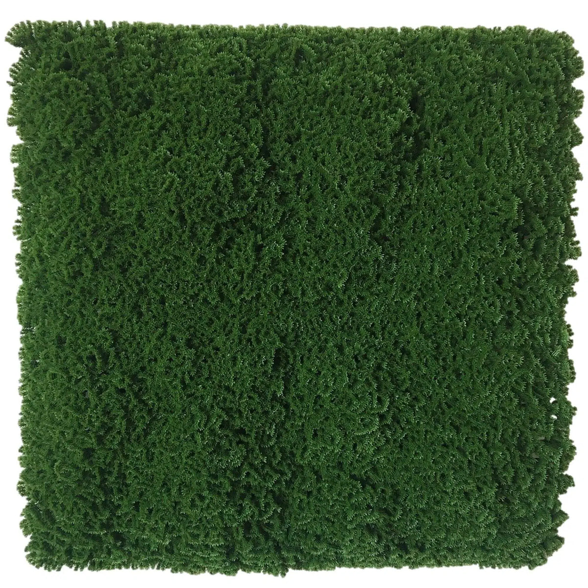 Dark Natural Green Artificial Moss / Green Wall UV Resistant 1m x 1m - Active Workspace