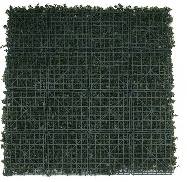 Premium Natural Buxus Hedge Panels UV Resistant 1m x 1m