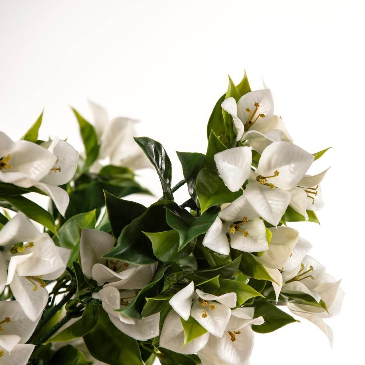 Hanging White Artificial Bougainvillea Plant UV Resistant 90cm - Active Workspace