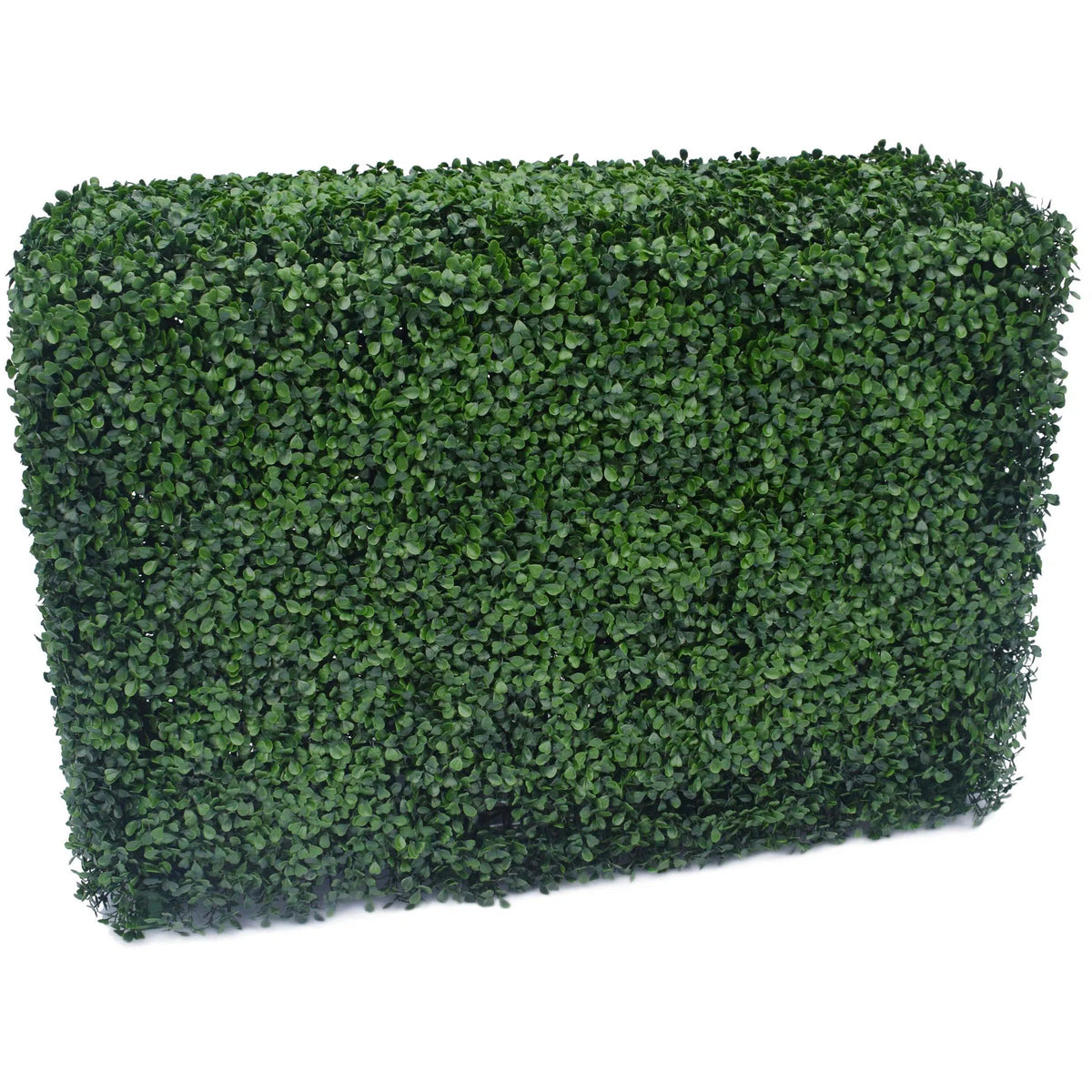 Portable Boxwood Hedge UV Resistant 75cm High 100cm Long