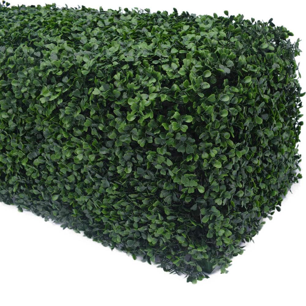 Portable Boxwood Hedge UV Resistant 25cm High 100cm Long - Active Workspace