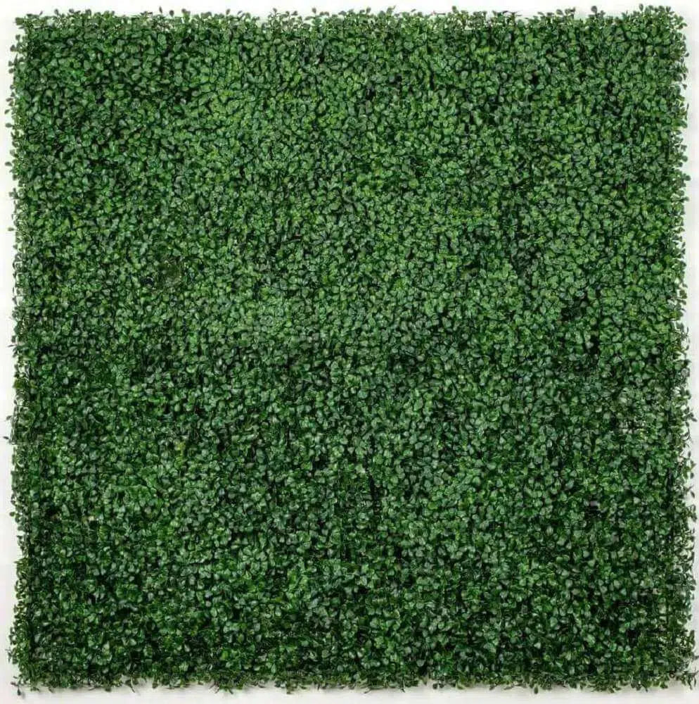 Boxwood Hedge Screen Green Wall Panel UV Resistant 100cm x 100cm