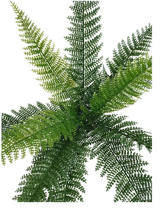 Dense Fern Stem 45cm