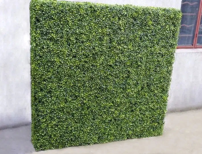 Large Portable Mixed Boxwood Hedge 1.5m by 1.5m UV Resistant