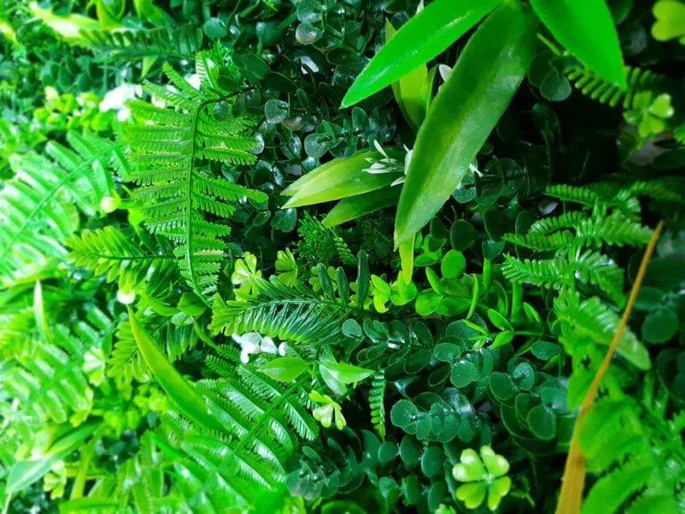 Wild Tropics Vertical Garden / Green Wall UV Resistant 100cm x 100cm