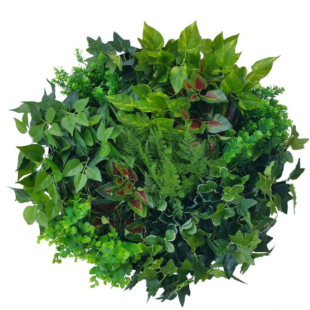 Artificial Green Wall Disc Art 60cm Mixed Fern &amp; Ivy (Onyx Black)