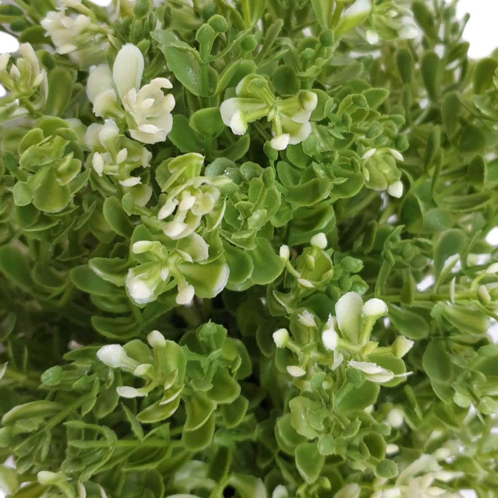 Small Potted Artificial White Jade Plant UV Resistant 20cm