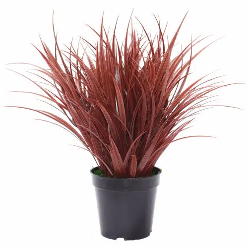 Artificial Ornamental Potted Dense Burgundy Grass UV Resistant 38cm