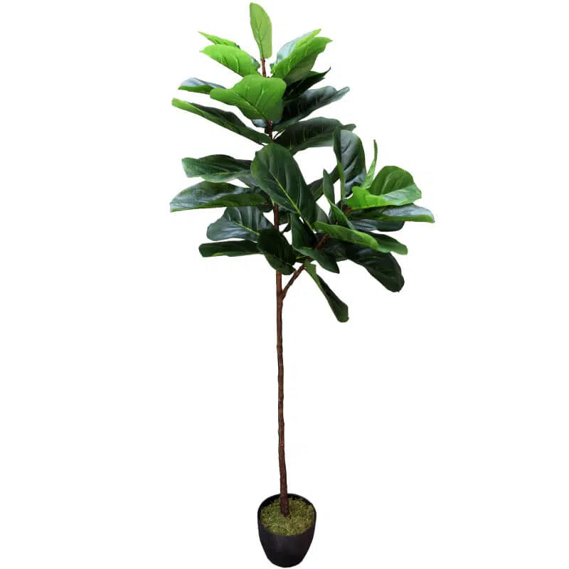 Tall Artificial Fiddle Leaf Fig 170cm